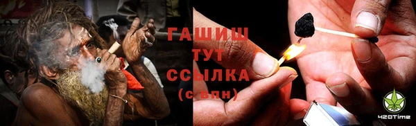 ешки Белокуриха