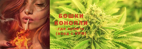 ешки Белокуриха