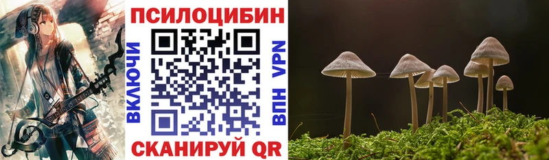 Псилоцибиновые грибы Magic Shrooms  гидра маркетплейс  Волосово  сколько стоит 